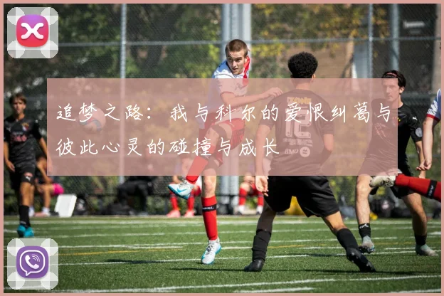 追梦之路：我与科尔的爱恨纠葛与彼此心灵的碰撞与成长