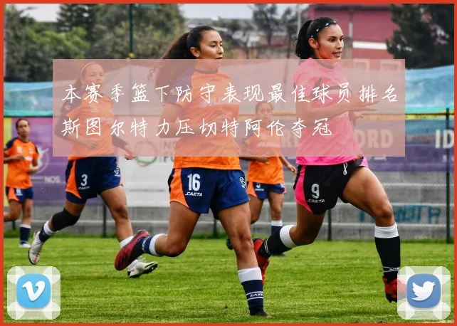 本赛季篮下防守表现最佳球员排名斯图尔特力压切特阿伦夺冠